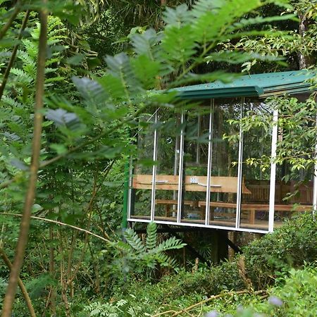 Sinharaja Kurulu Ella Eco Resort Deniyaya Exteriér fotografie
