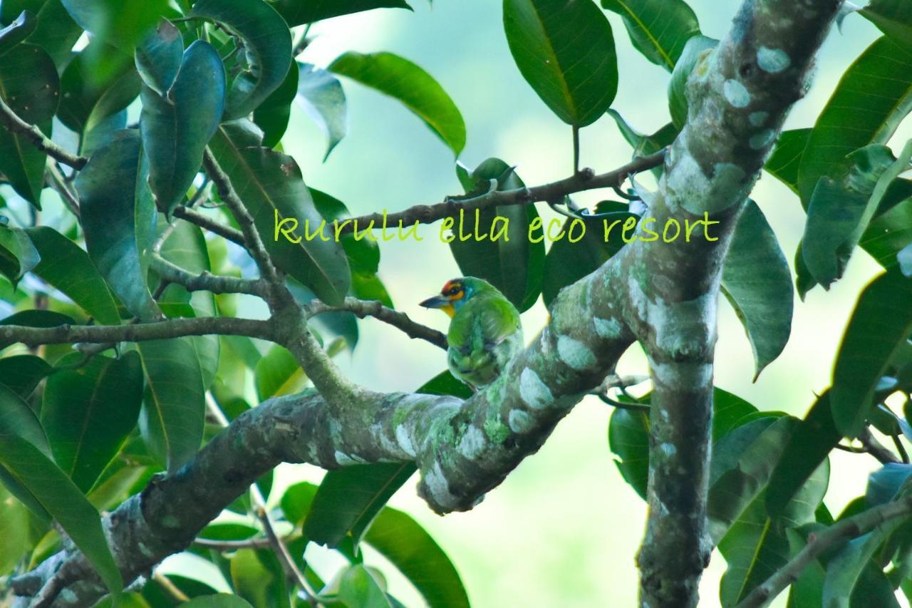 Sinharaja Kurulu Ella Eco Resort Deniyaya Exteriér fotografie