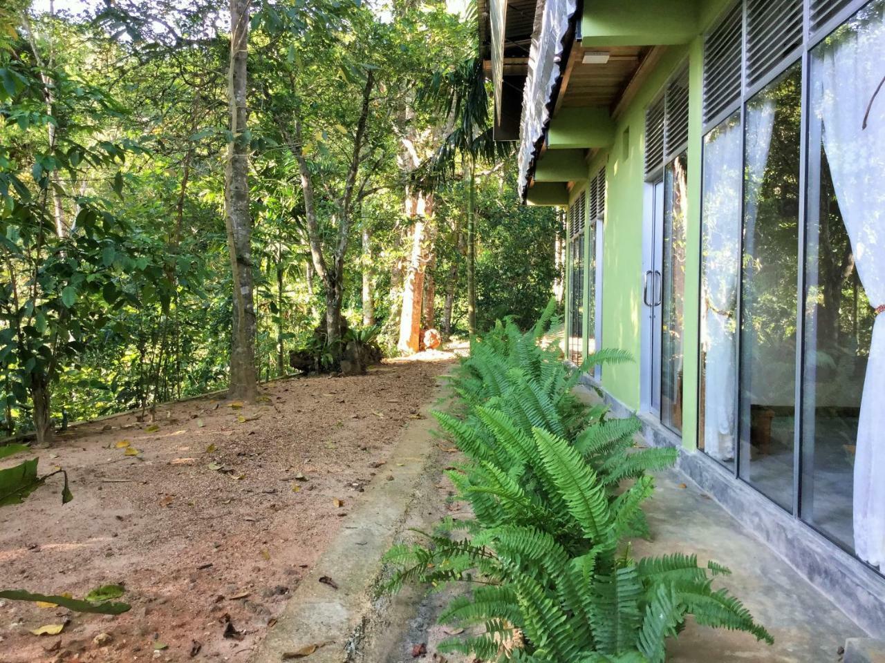Sinharaja Kurulu Ella Eco Resort Deniyaya Exteriér fotografie